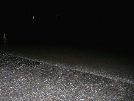 サーフのナイトゲームでデッドスローにキビレがヒット