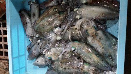 台風後の様子見