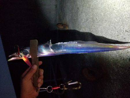 仕事帰りにワインド太刀魚