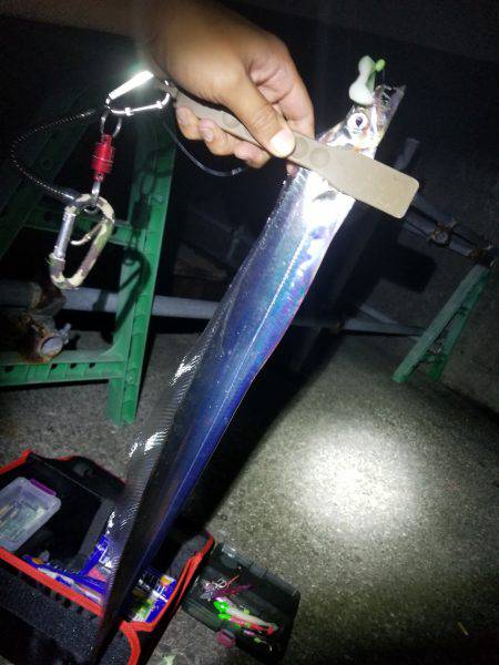 仕事帰りにワインド太刀