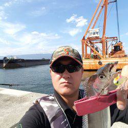 久々のムコイチ太刀魚