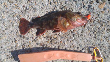 狙いはまずまず