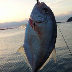 アジングとスーパーライトジギング