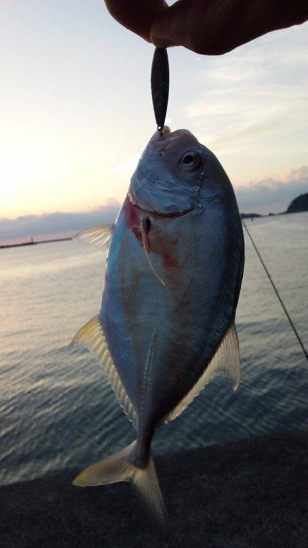 アジングとスーパーライトジギング