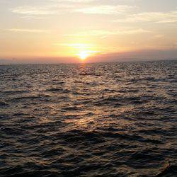 サクッと太刀魚