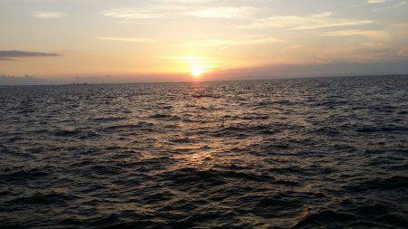 サクッと太刀魚