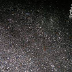 ルアーアクションで誘ったヒラスズキ