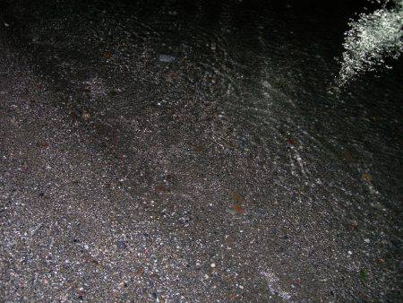 ルアーアクションで誘ったヒラスズキ