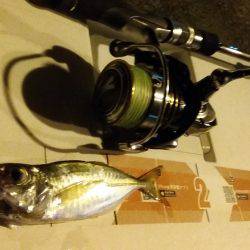 アジング エギング ライトジギング