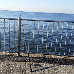 メタルジグでシーバス