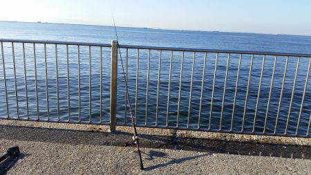 メタルジグでシーバス