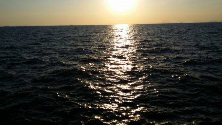 太刀魚は好調です