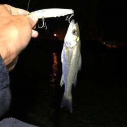 ナイトウェーディング