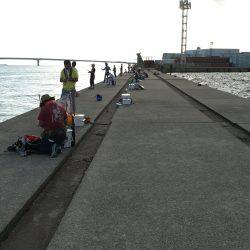 オンスタックル杯出場