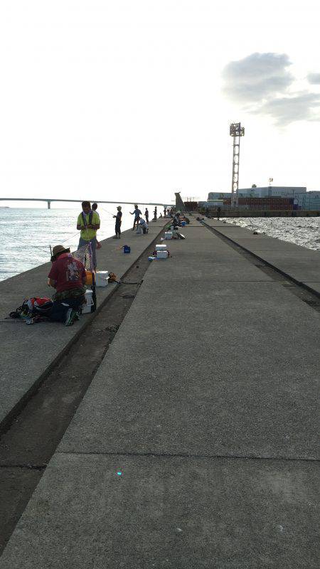 オンスタックル杯出場