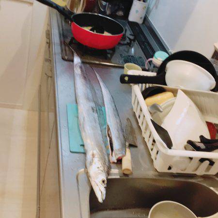 ドラゴンタチウオ「F5」