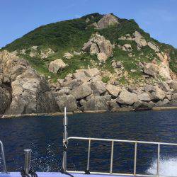 シーズン最後のタマミ狙い