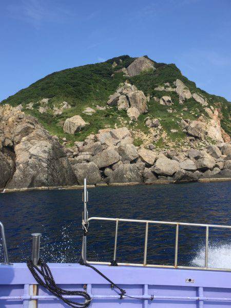 シーズン最後のタマミ狙い