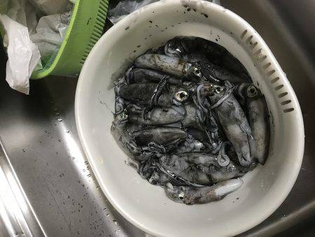 今年初渡船でエギング