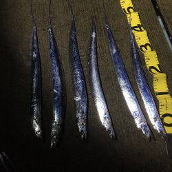 渋い時こそルミノーバ、間違いないです！！