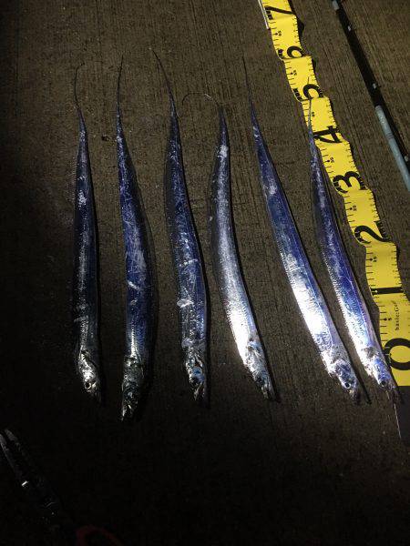 渋い時こそルミノーバ、間違いないです！！