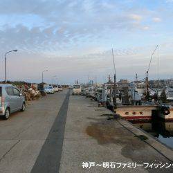 ハゼ調査も兼ねてキス釣り