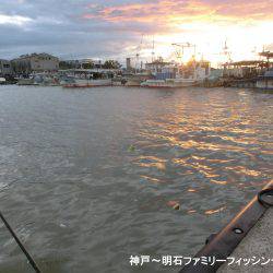 台風通過直後は行くもんじゃない
