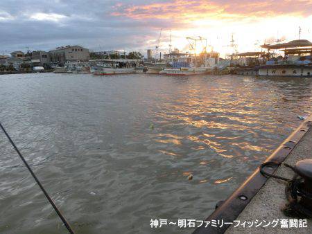 台風通過直後は行くもんじゃない