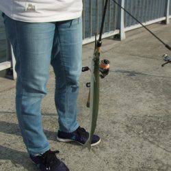 南芦屋浜 サヨリ爆超 楽しい!楽しい!