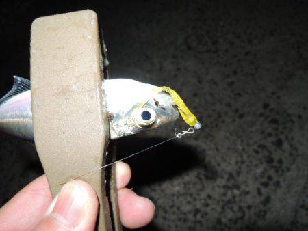 スプリットゲーム