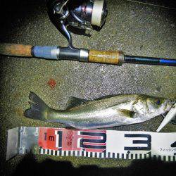 リバーシーバス