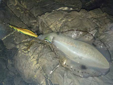 ナイスサイズに変身