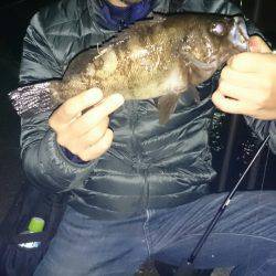 驚愕の野島ポテンシャル！メバルポンポン