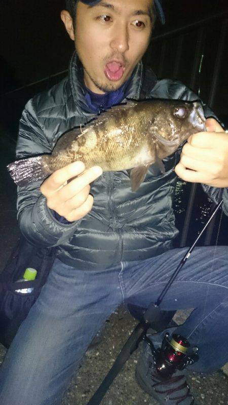 驚愕の野島ポテンシャル！メバルポンポン