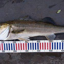 リベンジ達成♪