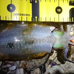 台風が来る前に