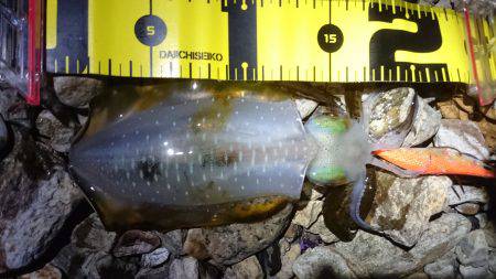 台風が来る前に