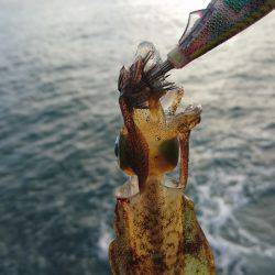 大うねりに苦戦