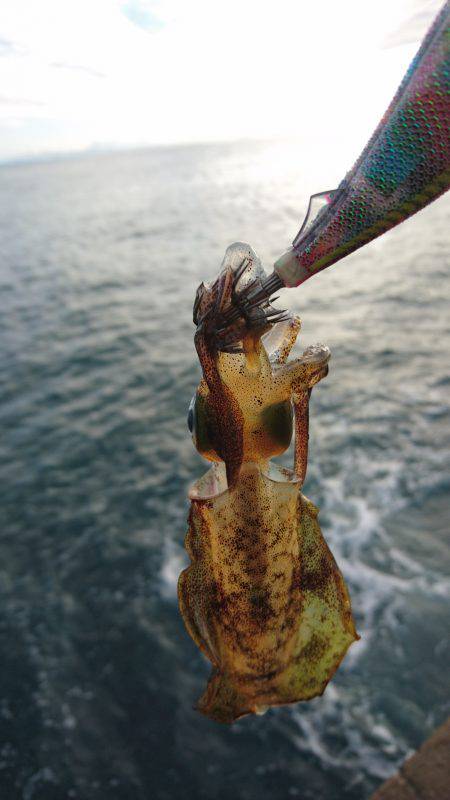 大うねりに苦戦