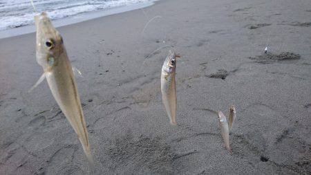 キスフィーバー