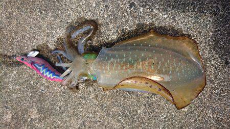 大会余波の混雑