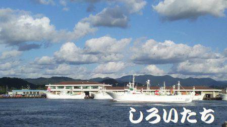 鳥取にオオアジを狙いに。