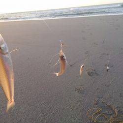 戻ってきたキス