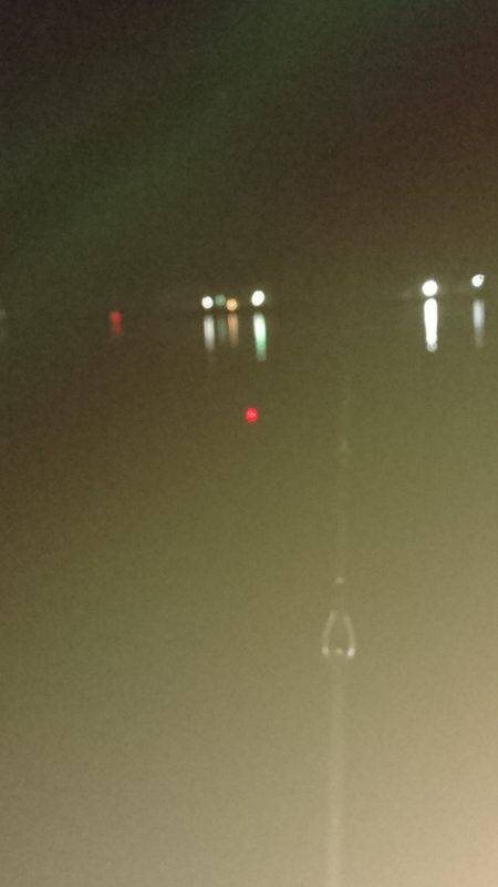 久しぶりのエサ釣り