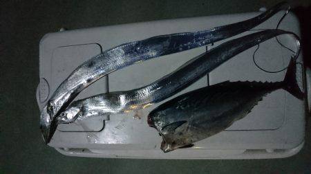 カツオ&タチウオ