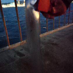 北公園チビタチ