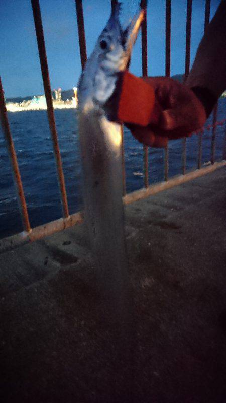 北公園チビタチ