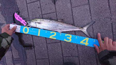 シーサイドコスモへ太刀魚を釣りに