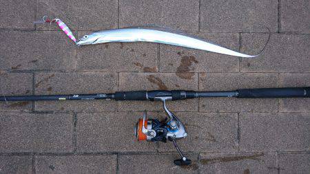 台風前のタチウオ