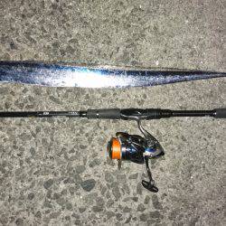 西宮浜タチウオ